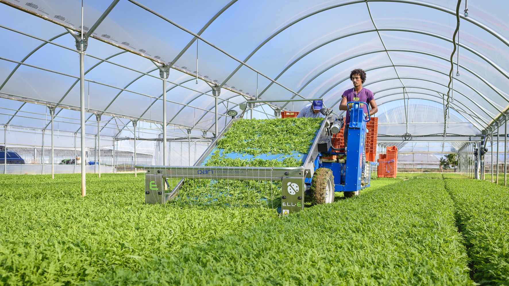 dari ecomeccanica|dari ecomeccanica|dari ecomeccanica|dari ecomeccanica